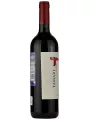 Tamari, Malbec, Mendoza — фото 4