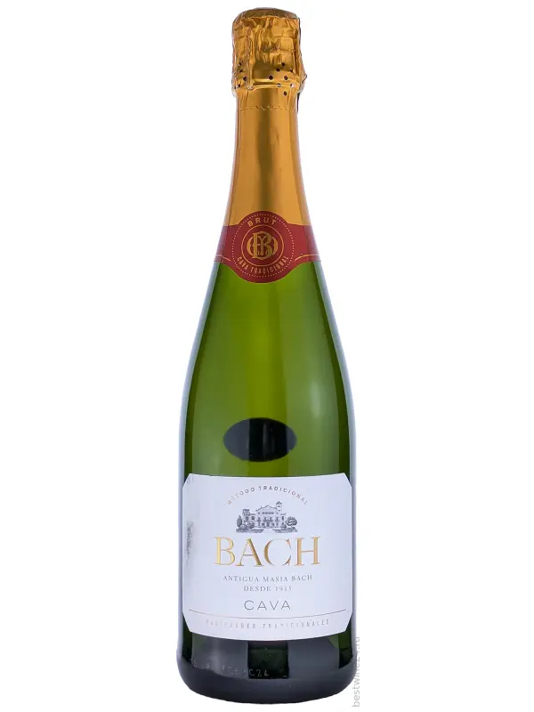 Bach, Extrisimo Brut, Cava DO