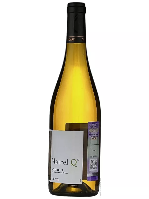 Cheval Quancard, Marcel Q2 Blanc, Atlantique IGP