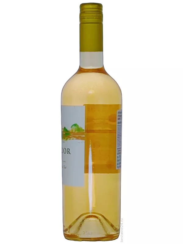 La Ronciere, Mirador Sauvignon Blanc, Casablanca Valley DO