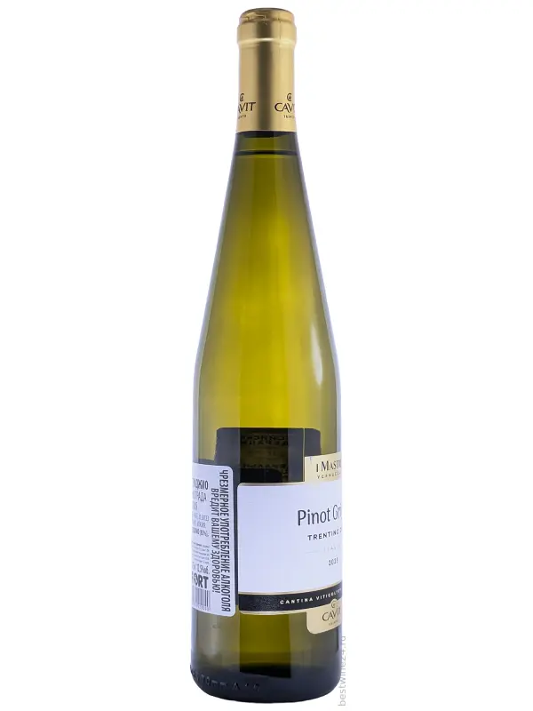 Mastri Vernacoli Pinot Grigio, Trentino DOC
