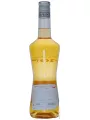 Monin, Liqueur de Fleur de Sureau — фото 3