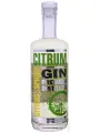 Citrum Premium Gin — фото 1