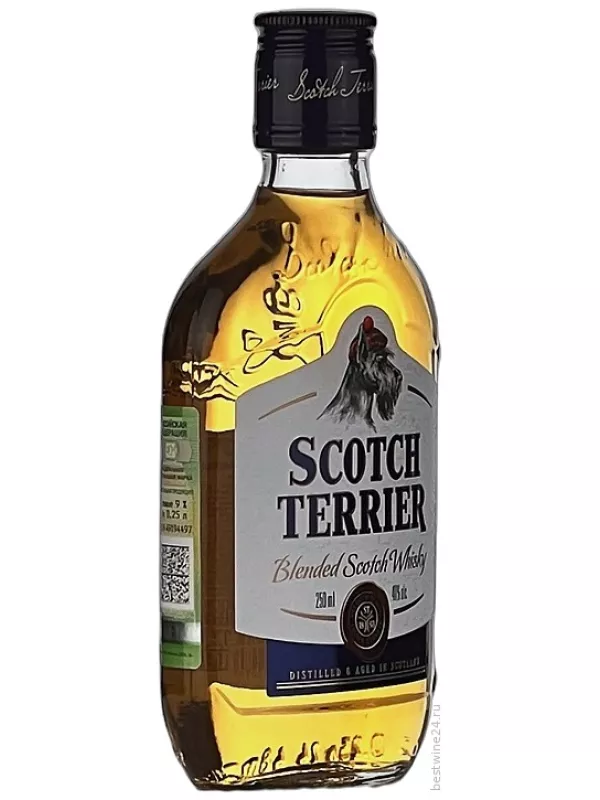 Scotch Terrier Blended
