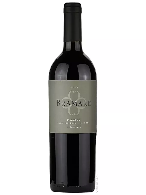 Vina Cobos, Bramare Malbec, Lujan de Cuyo