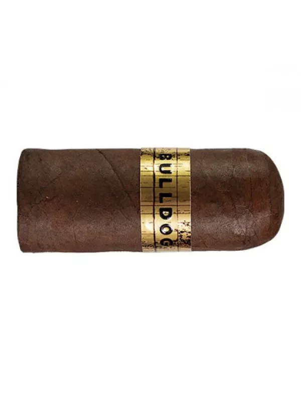 Bulldog Maduro