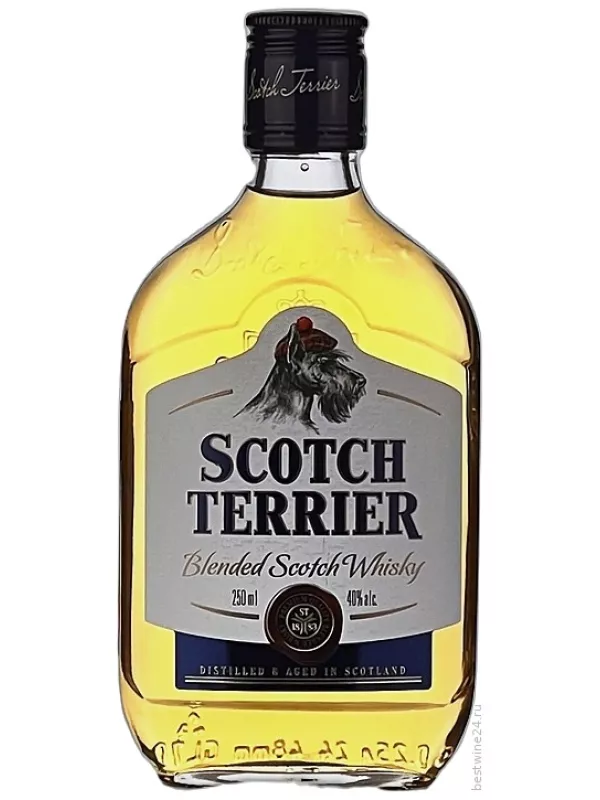 Scotch Terrier Blended