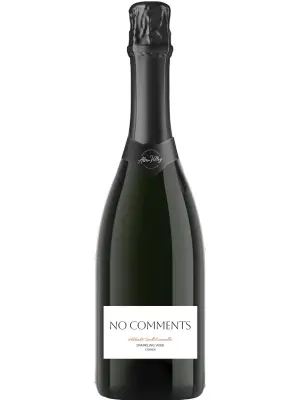 Игристое вино Alma Valley, No Comments Sparkling Brut 0.75 л