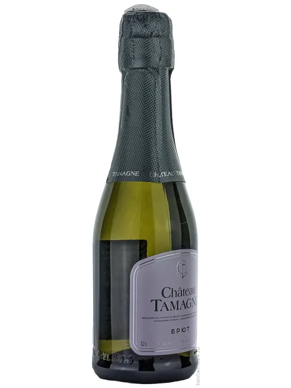 Chateau Tamagne Brut Blanc