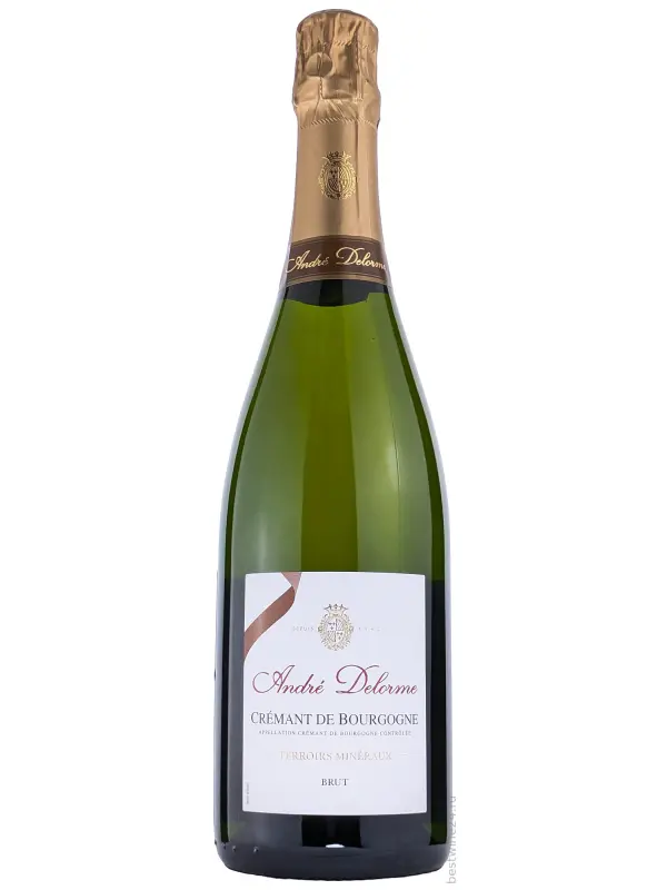 Andre Delorme, Brut, Cremant de Bourgogne AOC