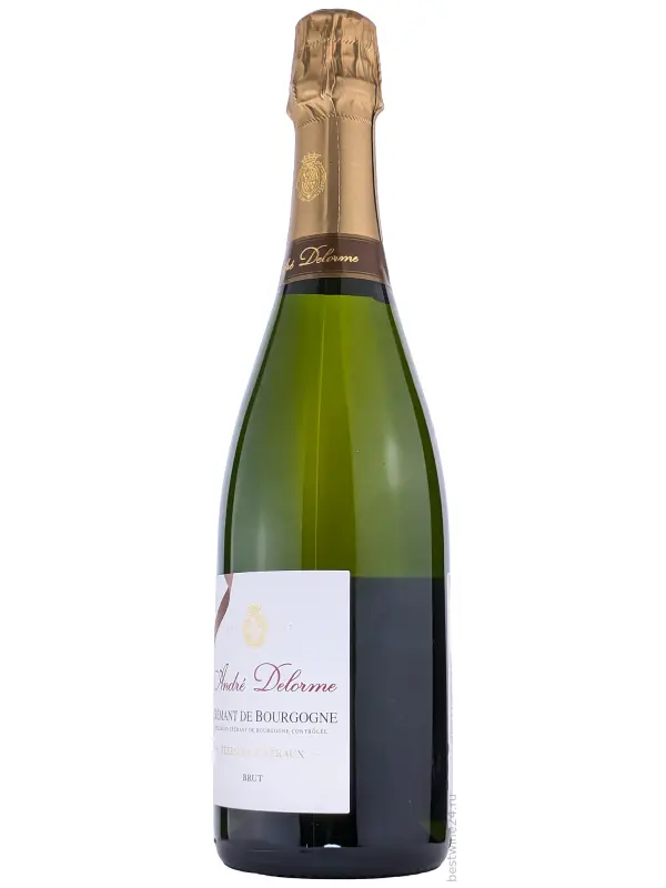 Andre Delorme, Brut, Cremant de Bourgogne AOC