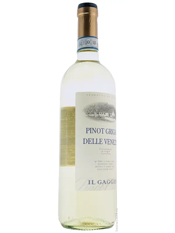 Natale Verga, Il Gaggio Pinot Grigio delle Venezie DOC