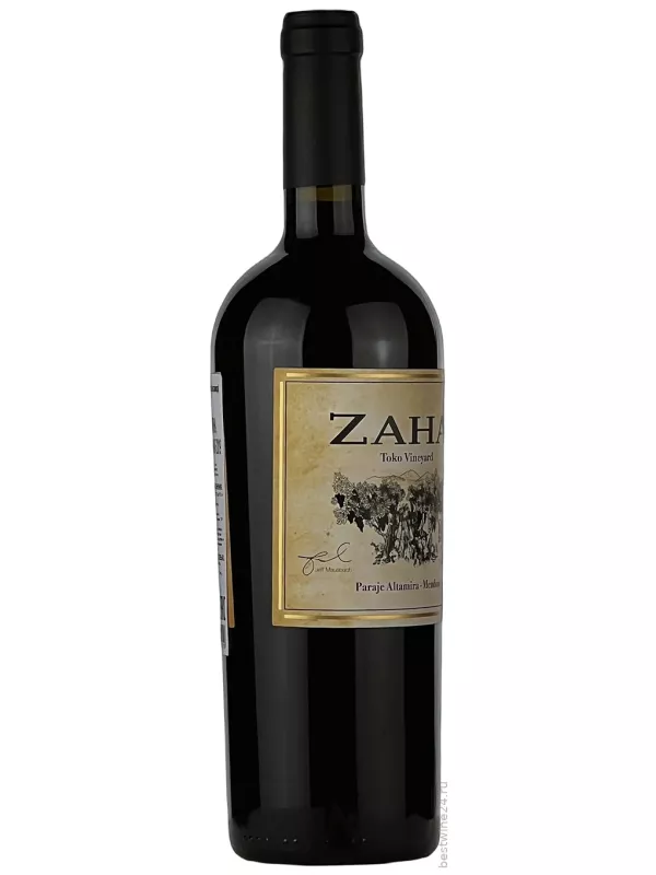 Bodega Teho, Zaha Toko Vineyard Cabernet Sauvignon