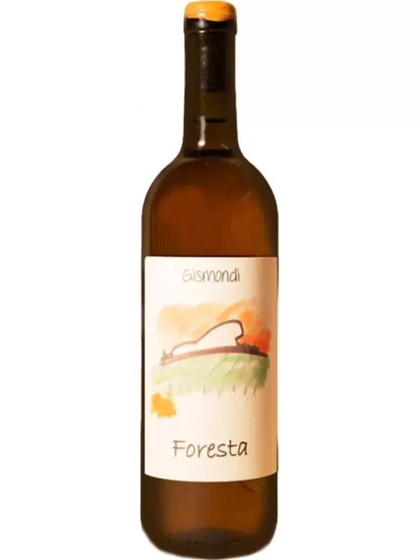 Antonio Gismondi, Foresta VdT