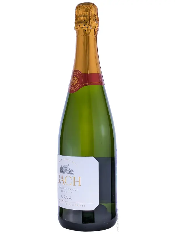 Bach, Extrisimo Brut, Cava DO