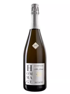 Champagne Albin Martinot, Hommage Brut Nature 0.75 л 2014