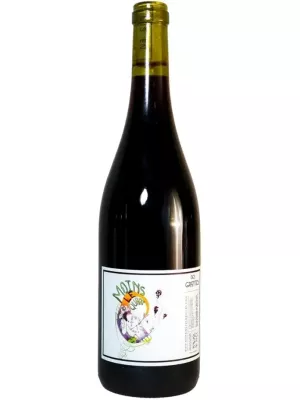 Вино Domaine des Grottes, Moins le Quart VdF 2021, 0.75 л