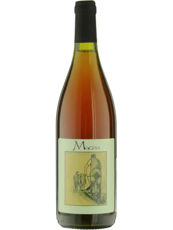Macea, Pinot Grigio, Toscana IGT