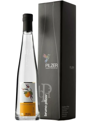 Аквавит Pilzer, Acquavite di Albicocche, gift box 0.5 л