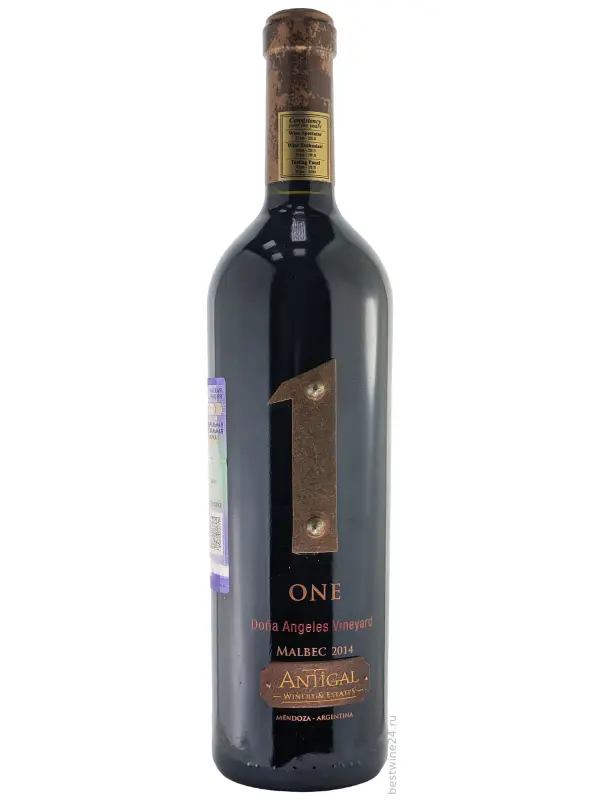 Antigal, One Dona Angeles Vineyard Malbec