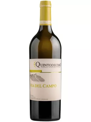 Вино Quintodecimo, Via del Campo Falanghina, Irpinia DOC 2024, 0.75 л