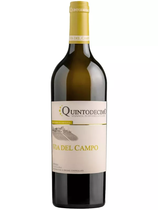 Quintodecimo, Via del Campo Falanghina, Irpinia DOC