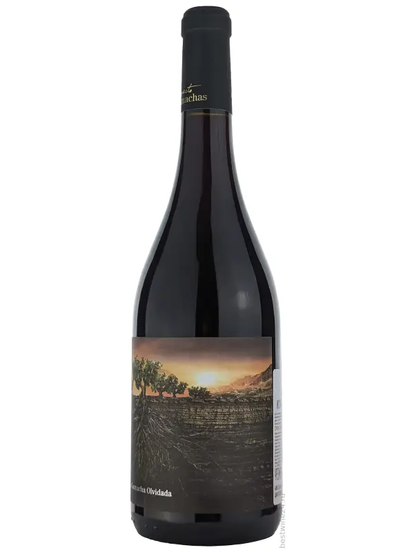 La Garnacha Olvidada de Aragon