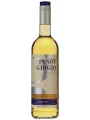 Axsar Pinot Grigio — фото 1