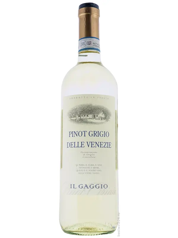 Natale Verga, Il Gaggio Pinot Grigio delle Venezie DOC
