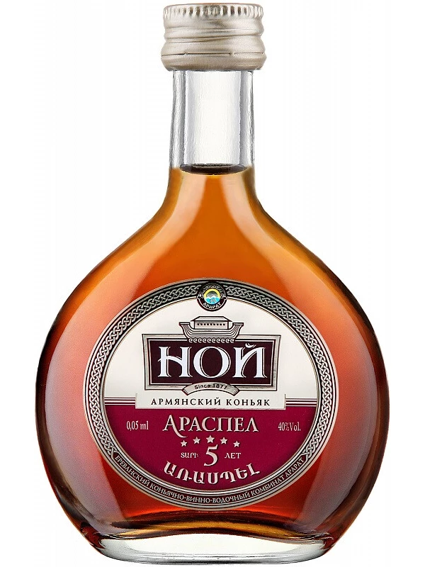 Ной Араспел 5-летний