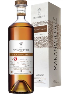 Коньяк Marancheville L'Exemplaire №5, Cognac Grande Champagne АОC, gift box 0.7 л