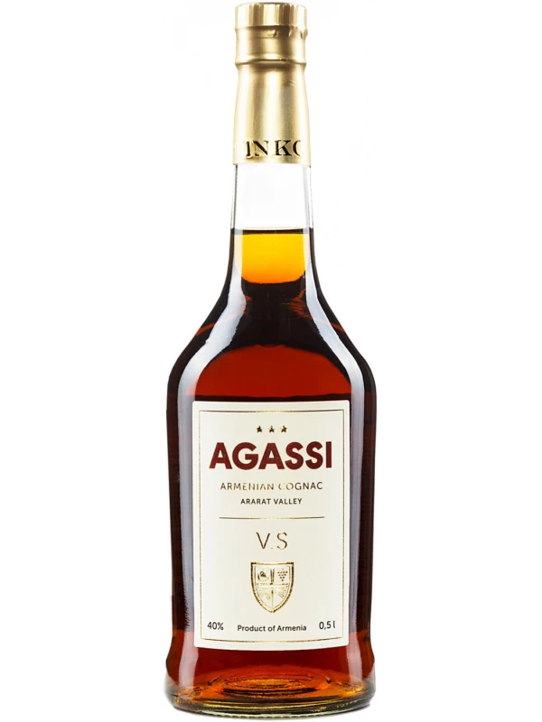 Agassi V.S