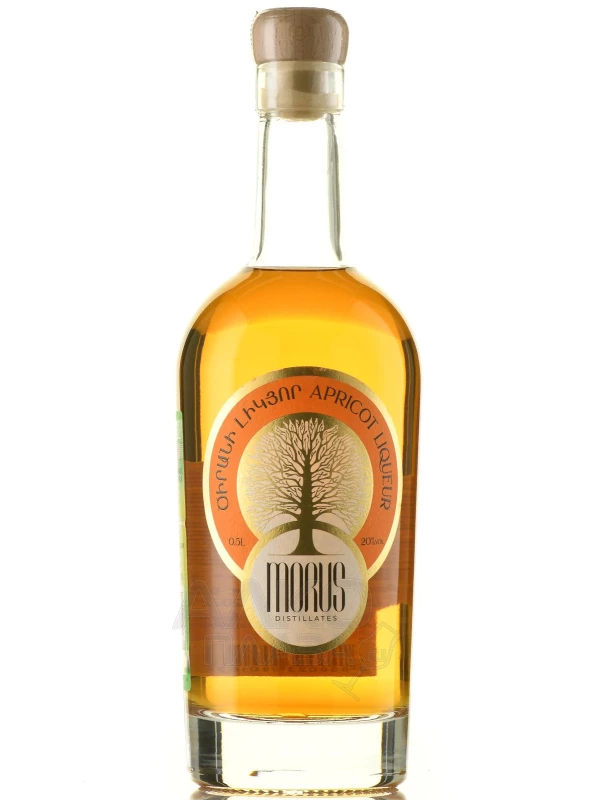Morus Apricot