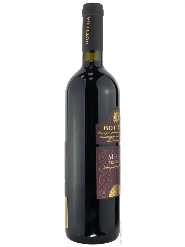Bottega, Merlot, Trevenezie IGT