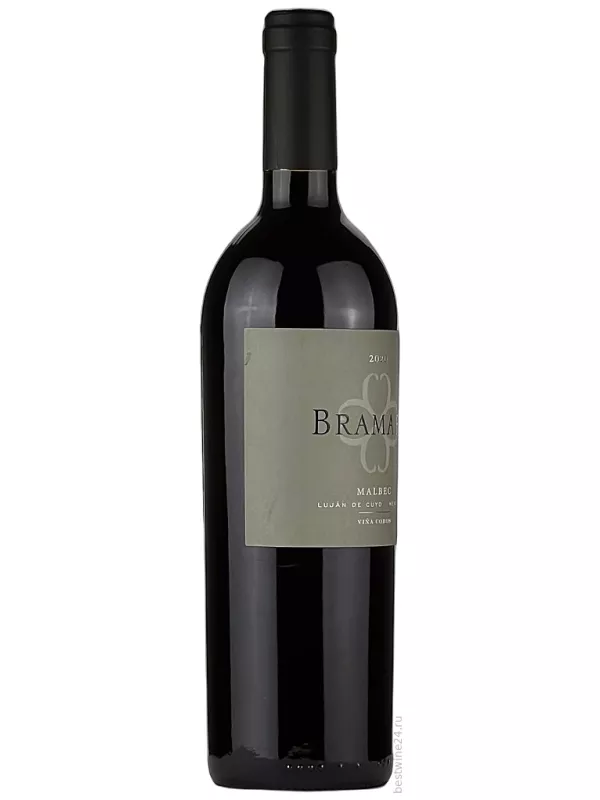 Vina Cobos, Bramare Malbec, Lujan de Cuyo