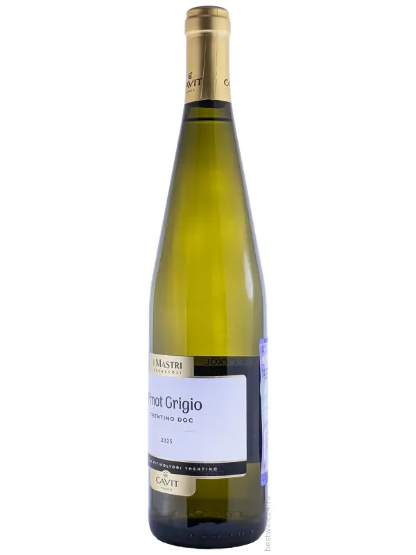 Mastri Vernacoli Pinot Grigio, Trentino DOC