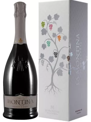 Montina, Franciacorta DOCG Brut, gift box 0.75 л 2021