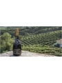 Valdo, Numero 10 Metodo Classico Brut Valdobbiadene DOCG — фото 5