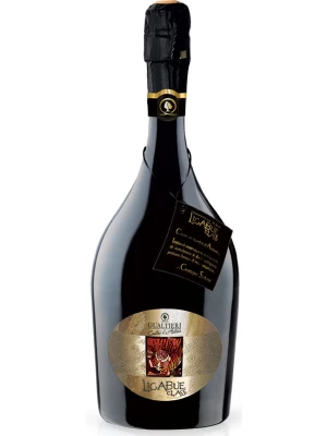 Ligabue Class Rosso Secco, Lambrusco DOP 0.75 л
