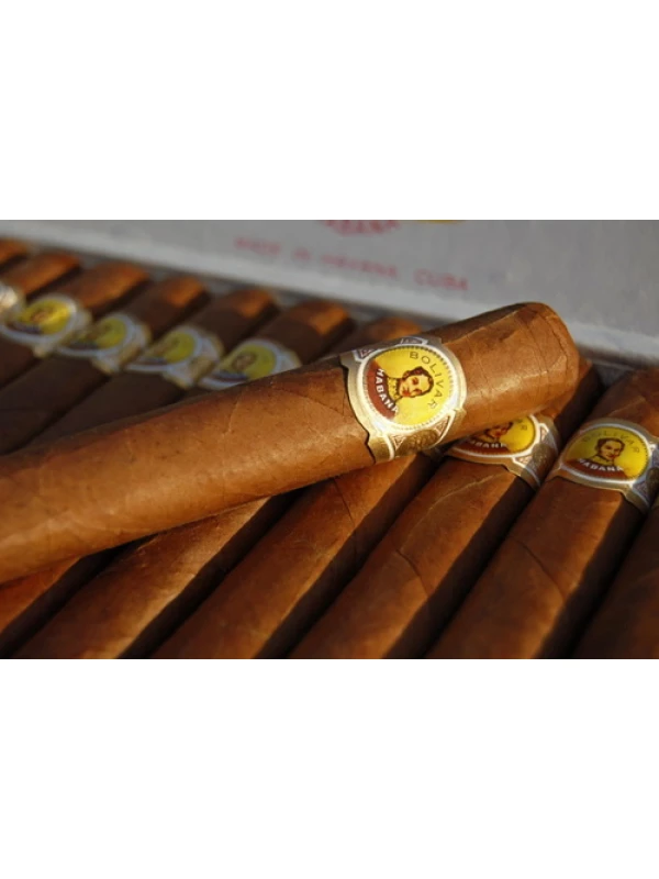 Bolivar Royal Coronas