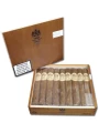 Dunhill 1907 Toro (box pressed) — фото 1