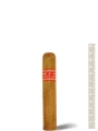 Partagas Serie D № 5 — фото 1
