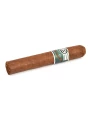 Bentley Green Robusto — фото 1
