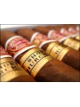 Romeo Y Julieta Short Churchills — фото 10