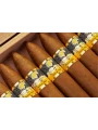 Cohiba Piramides Extra — фото 1