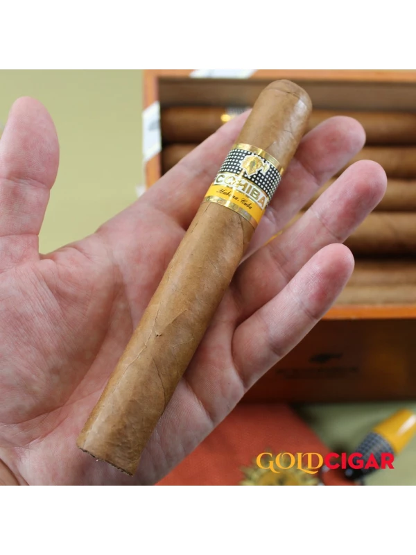 Cohiba Siglo VI