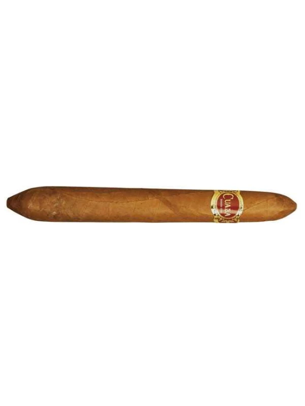 Cuaba Salomon