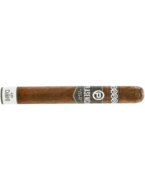 Сигары Plasenсia Alma del Campo Guajiro Robusto