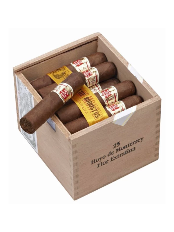 Hoyo de Monterrey Petit Robusto