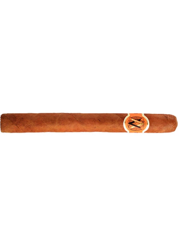 AVO XO Maestoso